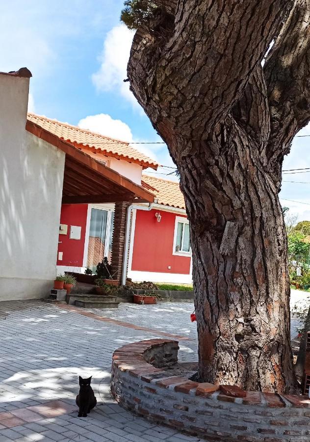 Casa De Campo A 5 Minutos Da Praia Atouguia Da Baleia Exteriér fotografie